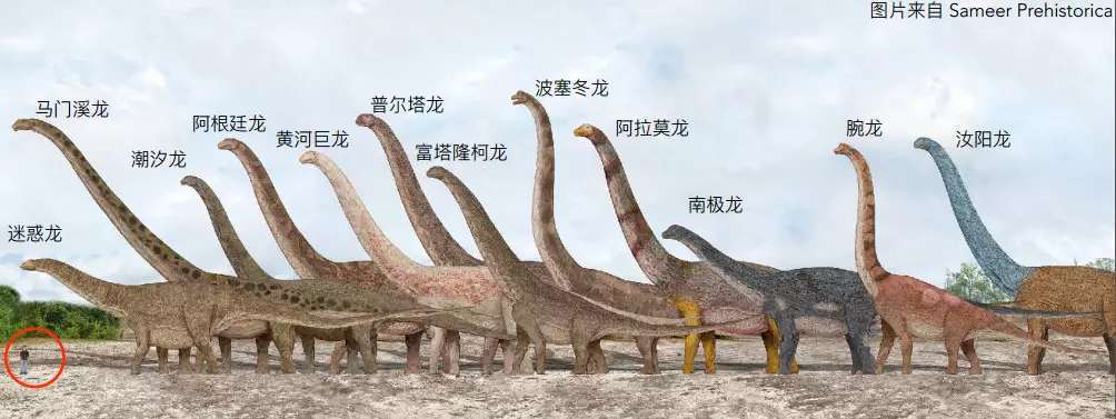 科学放大镜恐龙蓝鲸哥斯拉动物大小的极限在哪