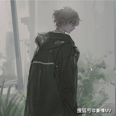冷酷帅哥头像男动漫图片骚气而不失优雅的男头