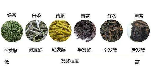 根据茶叶发酵程度不同,茶叶也产生了不同的叫法,有不发酵茶,轻发酵茶