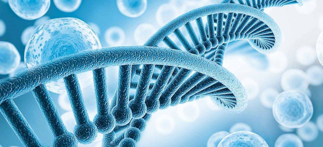 生命科学留学，生物科学专业出国留学