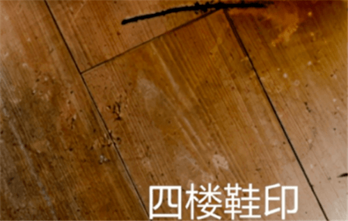 四口被灭门,刑警靠一枚脚印破案,主谋竟是亲妹妹_凌小娟_周子雄_警方