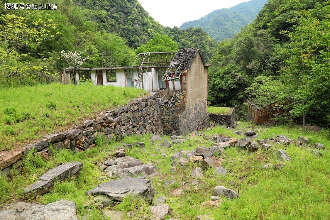 寧波無人區,探秘直岙遺址,石階路,石板橋,小溪流淌_陶坑_姜家_村莊