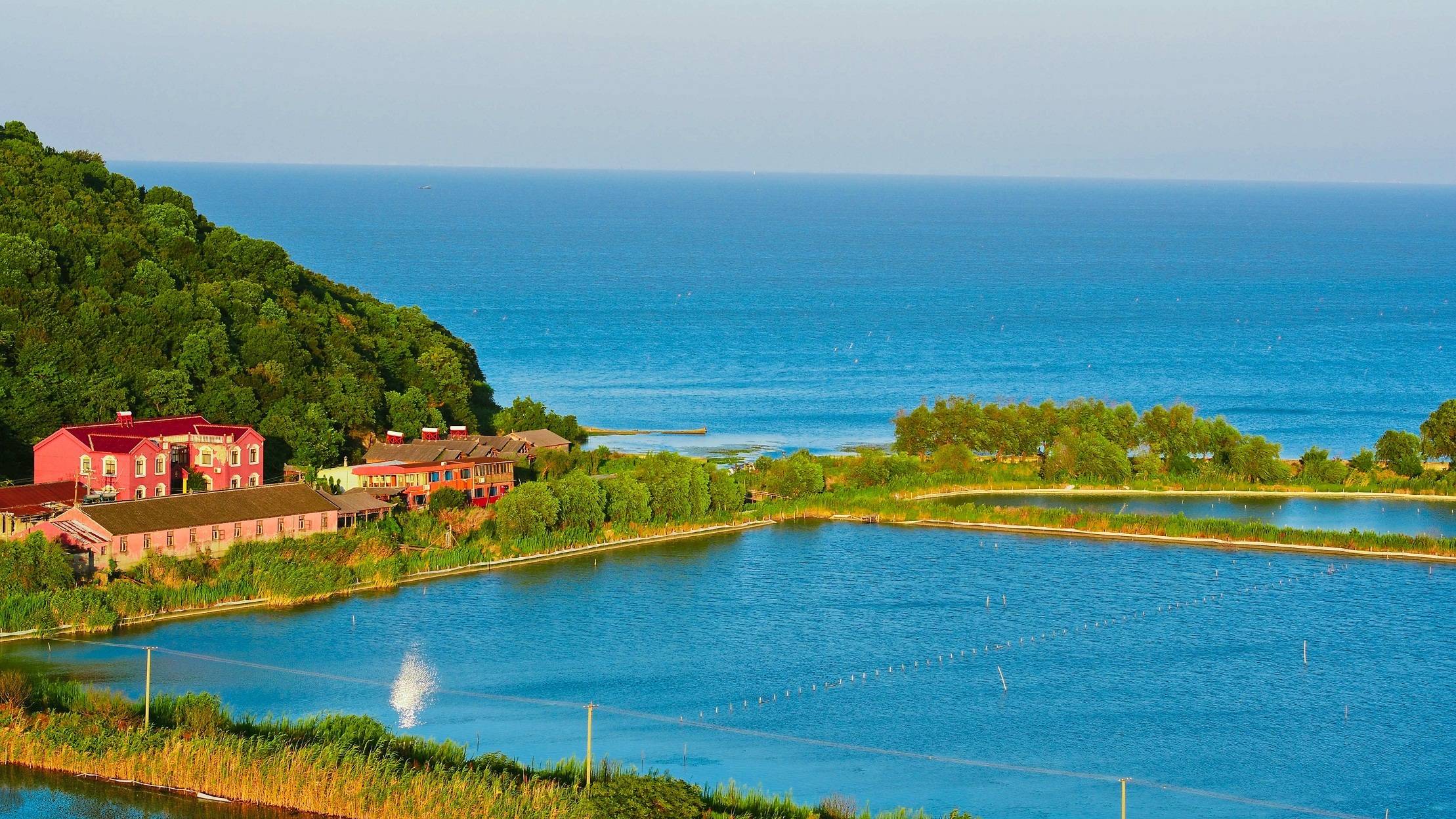 蘇州太湖漸漸褪去春日的青嫩歲月愈加熱烈邂逅畫中美景