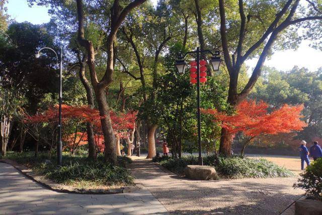 浙江有一公园，以临平命名，景色优美，还曾被央视点名！