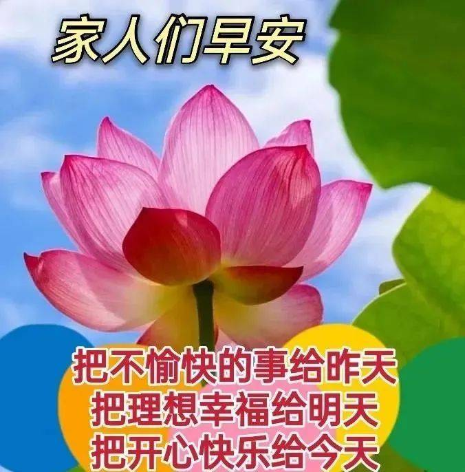 原創5月19日最有創意好看的早安早上好圖片2022早安問候祝福圖片文字