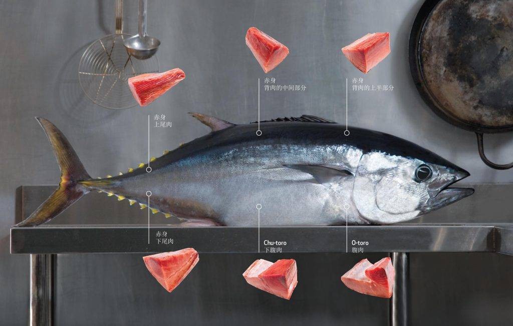 蓝鳍金枪鱼为什么贵图片