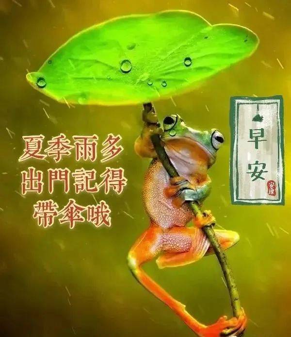 8张最新特漂亮早上好鲜花图片带字带祝福语最美夏日早安问候祝福图片