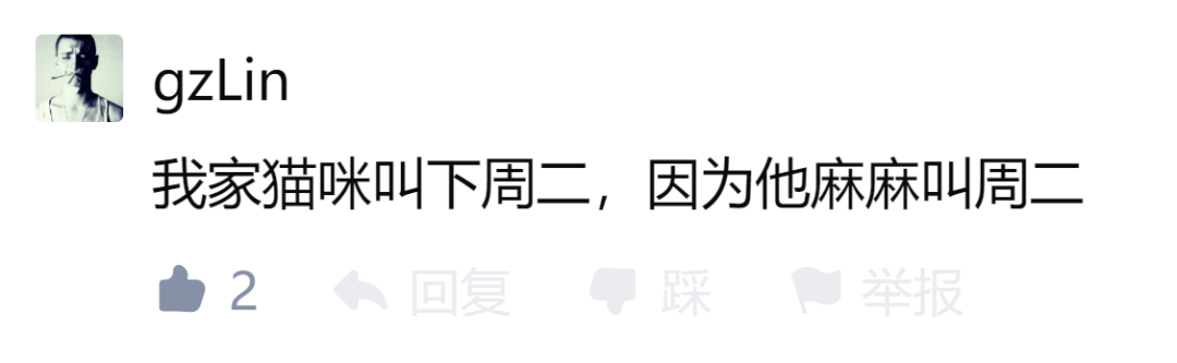 给小猫起名字_小猫起名字招财霸气不俗气_小猫起名字大全可爱