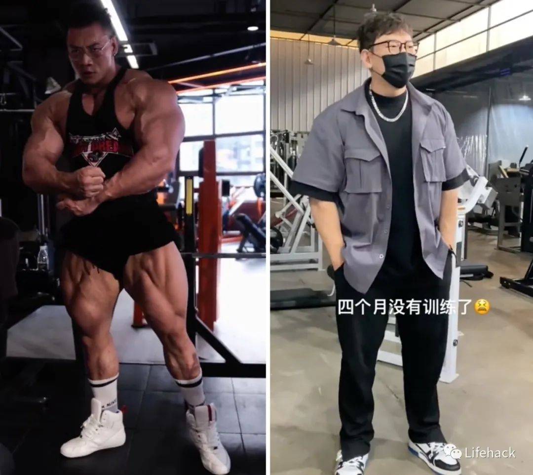 手贱搜了搜鹿晨辉的近照我惊了肌肉咋缩水成这样了