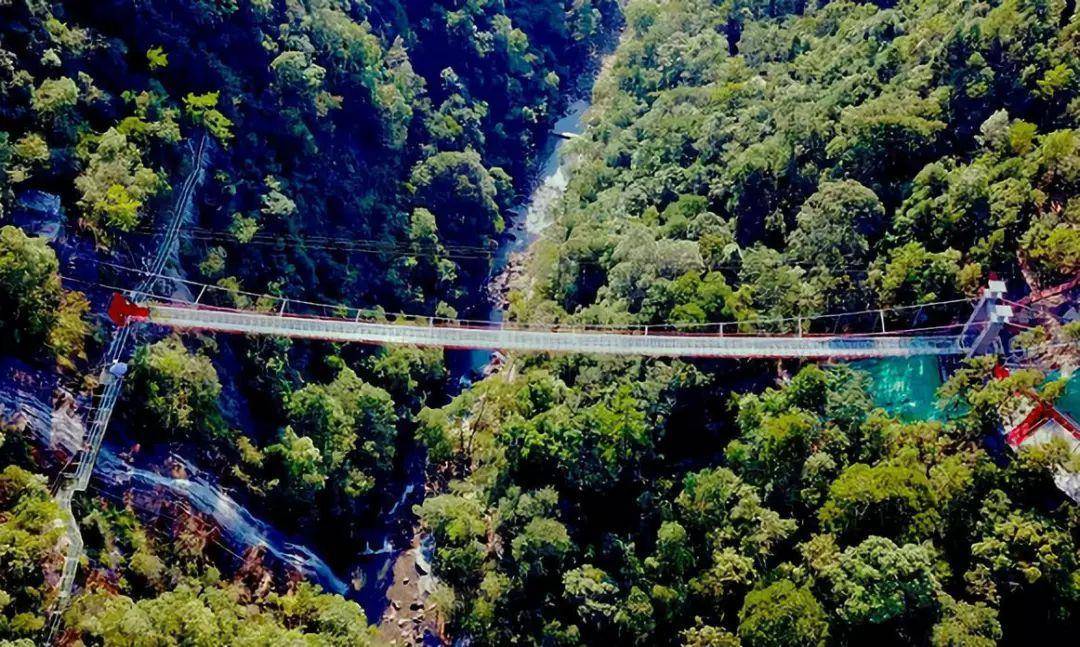 郴州旅游推荐九龙江国家森林公园