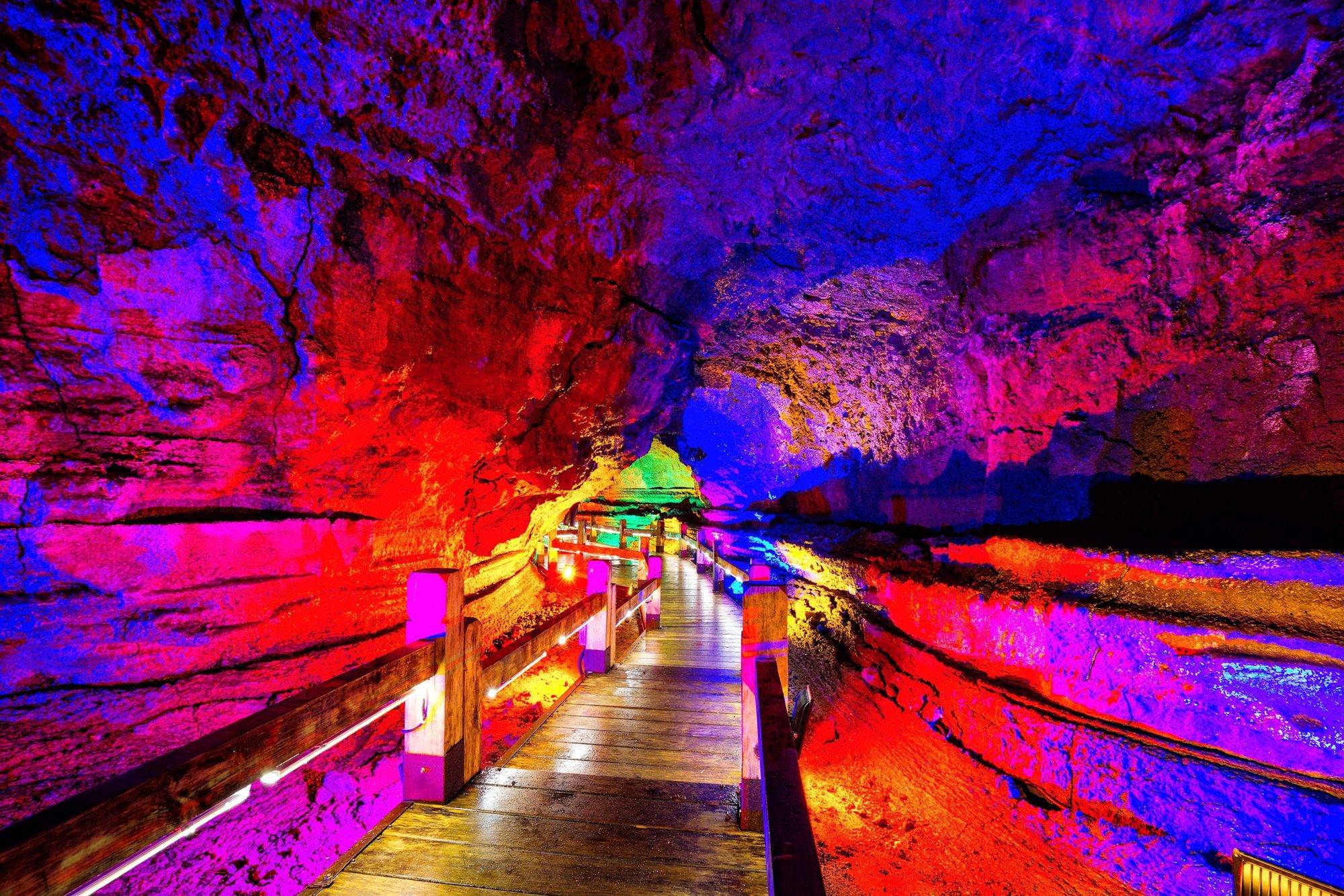 原创火山口国家森林公园这里有一座地下森林藏着大自然的奇迹