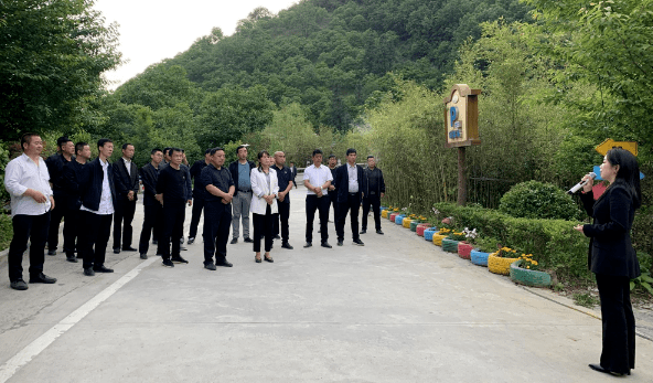 参观学习组首先来到柞水县,在曹坪镇蔡玉窑村实地参观学习吊带木耳,塔