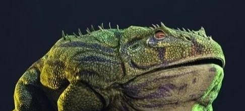 原创远古时代有一种青蛙凶狠起来连恐龙都吃霸王龙就知道欺负我