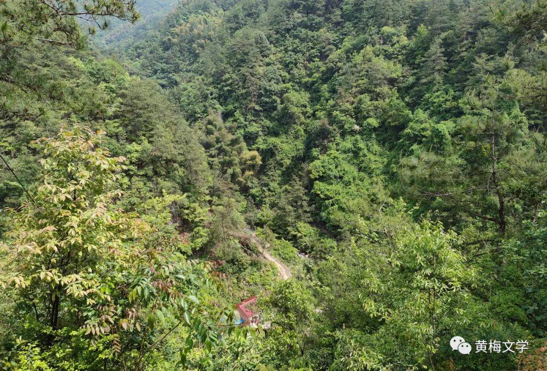 春游黄龙潭