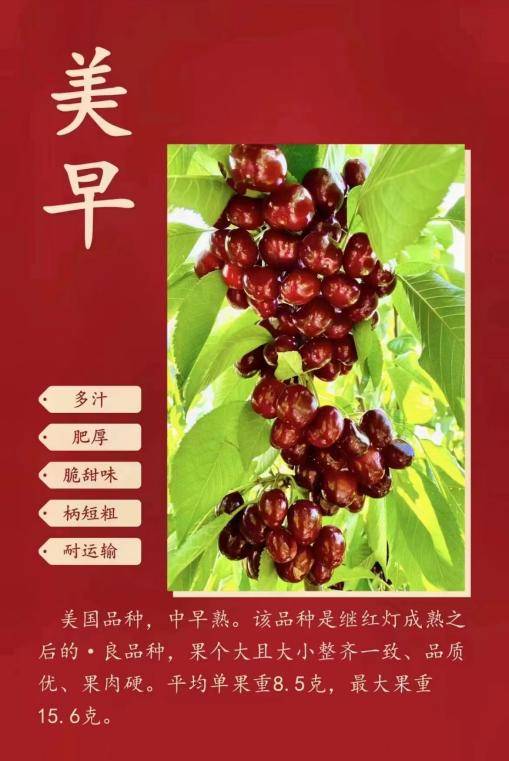 抗疫献爱心团购大樱桃伊通文学艺术联合会与省青少年艺术协会助农度