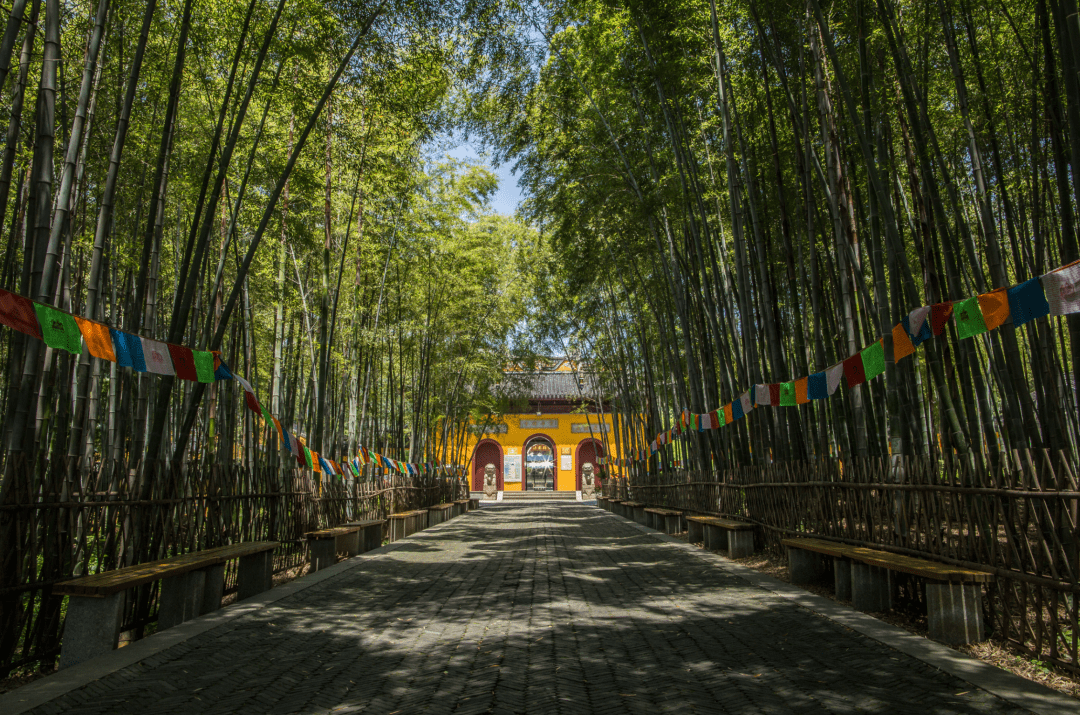 在自然的怀抱中尽情挥洒汗水苏州七子山登山步道5月26日开放