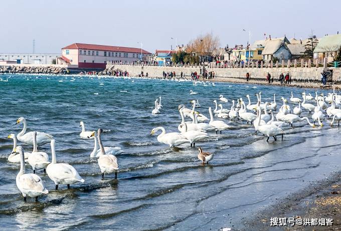 走遍四海还是幸福威海:三大旅游名胜,美不胜收!_成山头_中国_地方