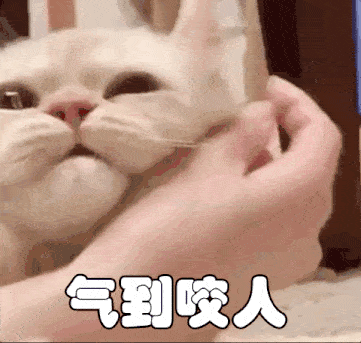 养猫多年我发现猫咪轻咬主人不是在跟你玩