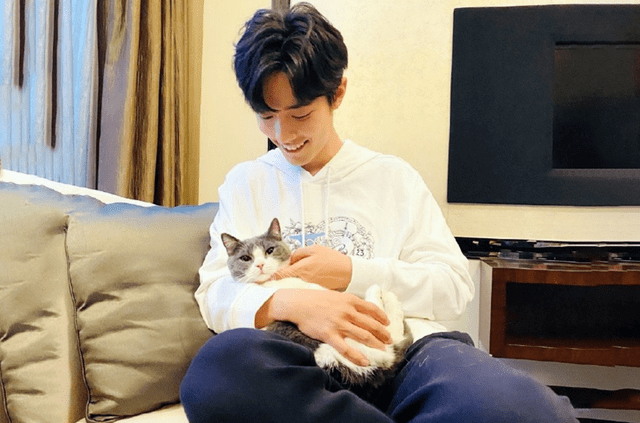 肖战的猫是一种蓝白曼基康,肖战为它取名为"坚果",是一只十分漂亮的小