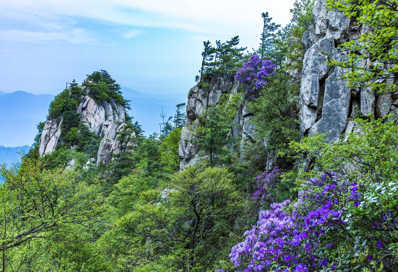 鲁山县平沟杜鹃岭图片