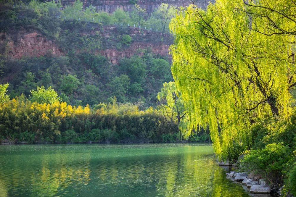 读了这12首江南诗词才知道江南的春天有多美