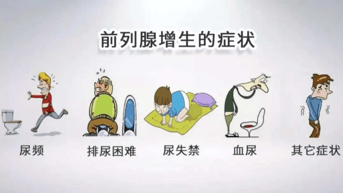 刚刚发现了前列腺增生,不想治疗,会有什么结果_症状_问题_柯北