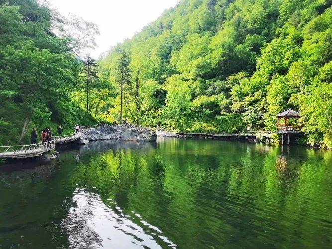 哈爾濱端午假期邀您暢遊黑龍江鳳凰山國家森林公園