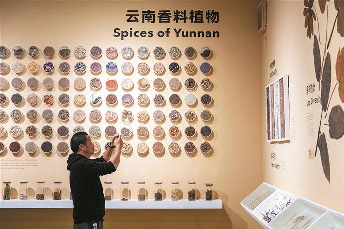 5月18日,游客在中国科学院昆明植物研究所昆明植物园内的种子博物馆