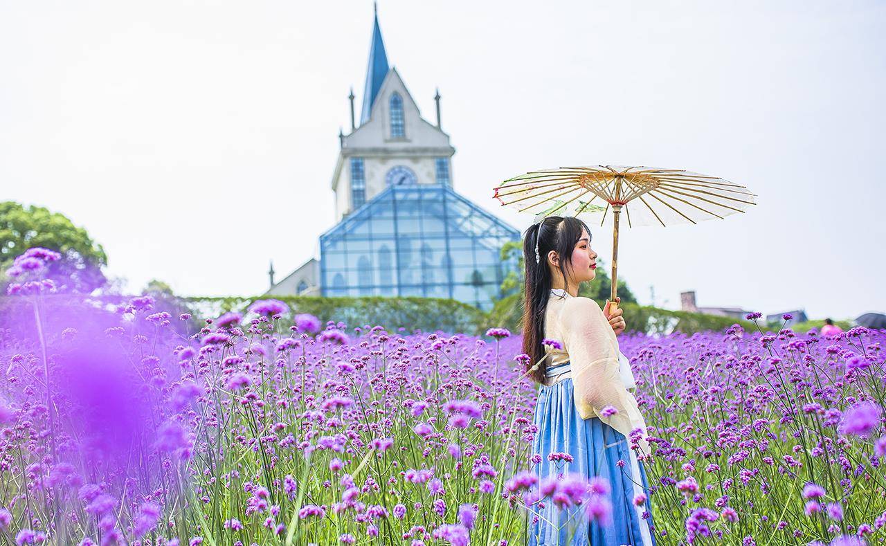 原创             不用去法国，在武汉就有法国小镇和一望无际的浪漫紫
