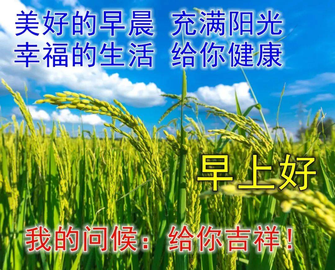 原创8张最新漂亮夏天风景早安图片带字2022新版微信早上好问候祝福语