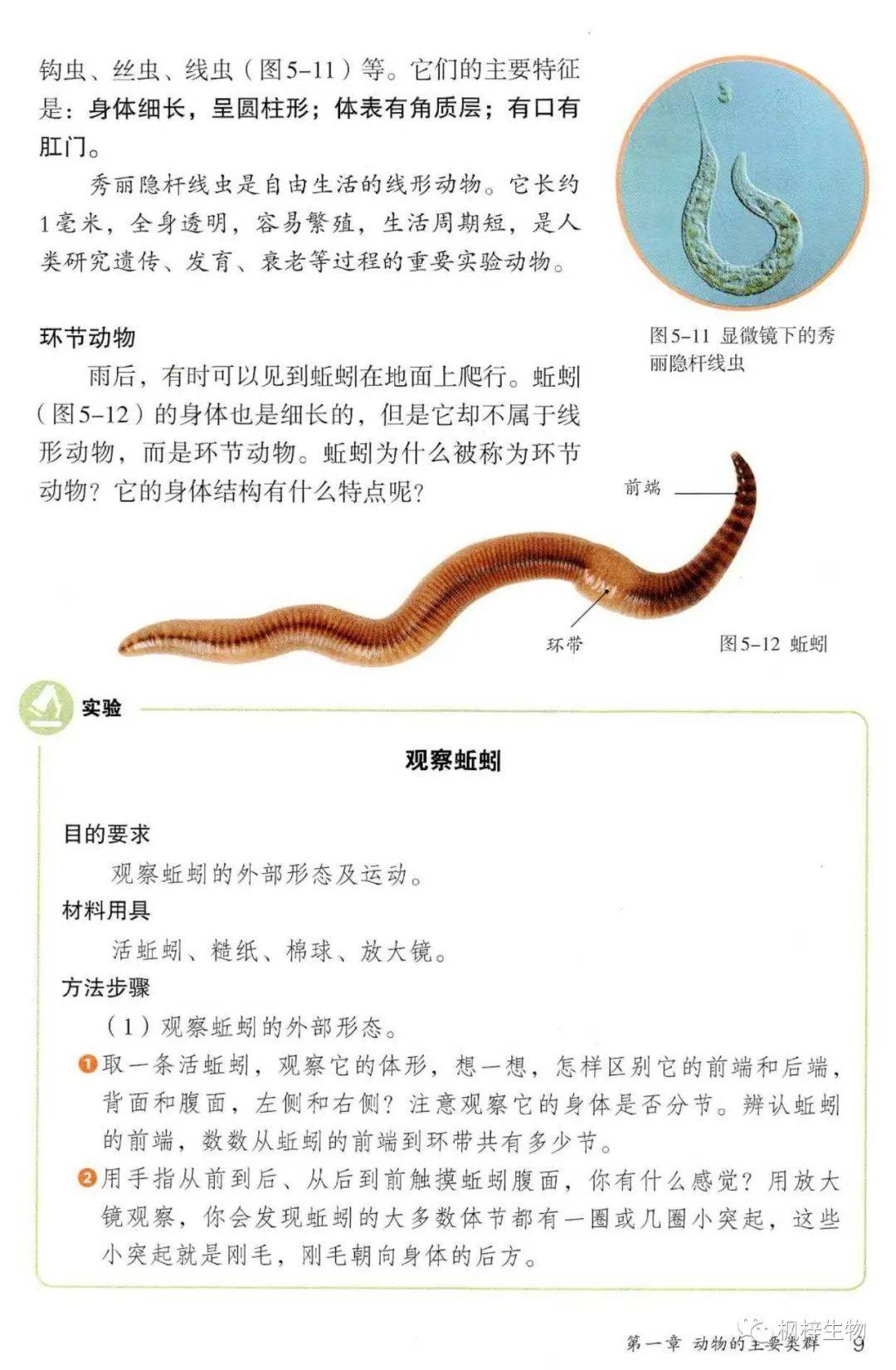 人教版八年级上册生物电子课本教材高清pdf版