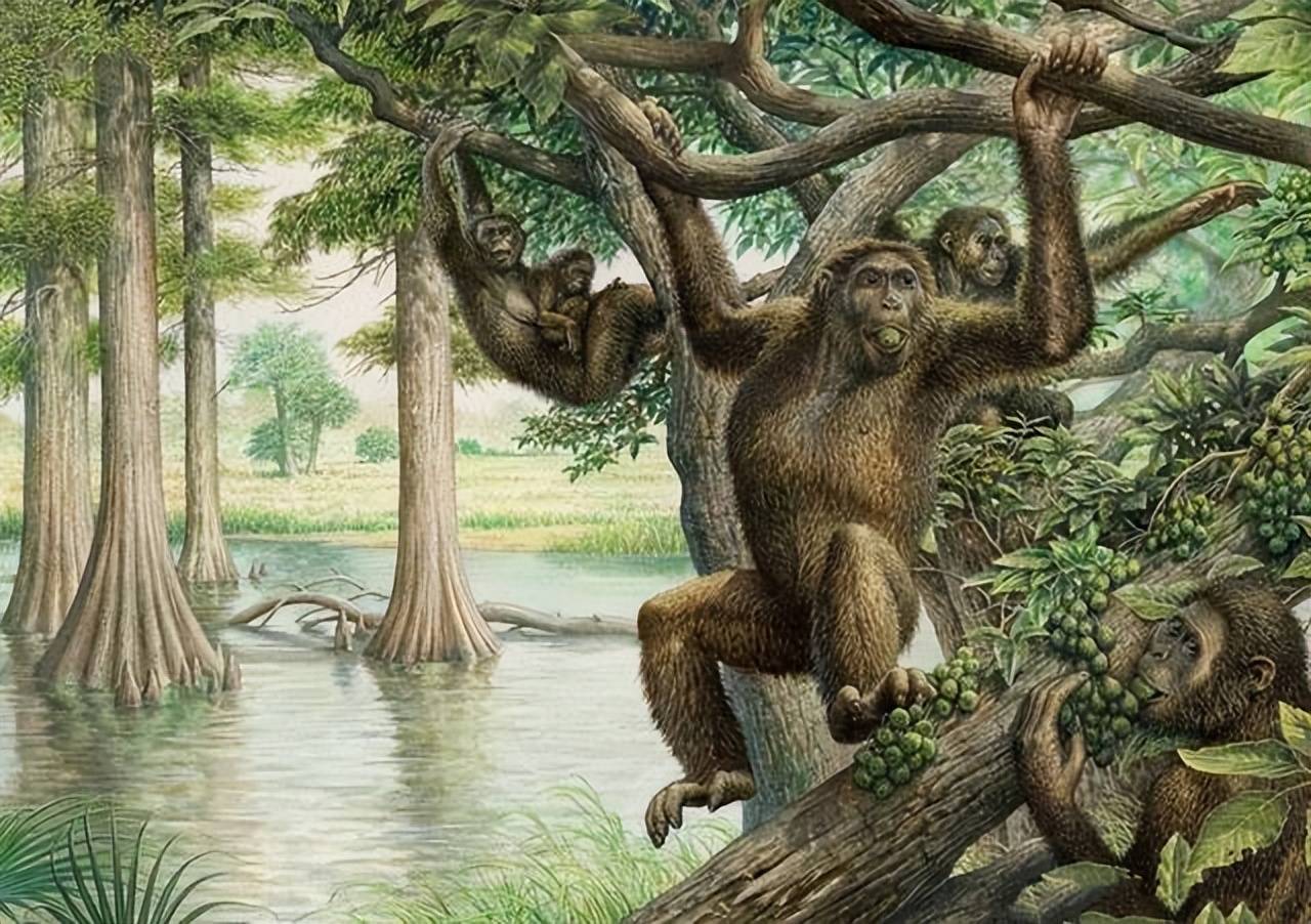 森林古猿真实图片