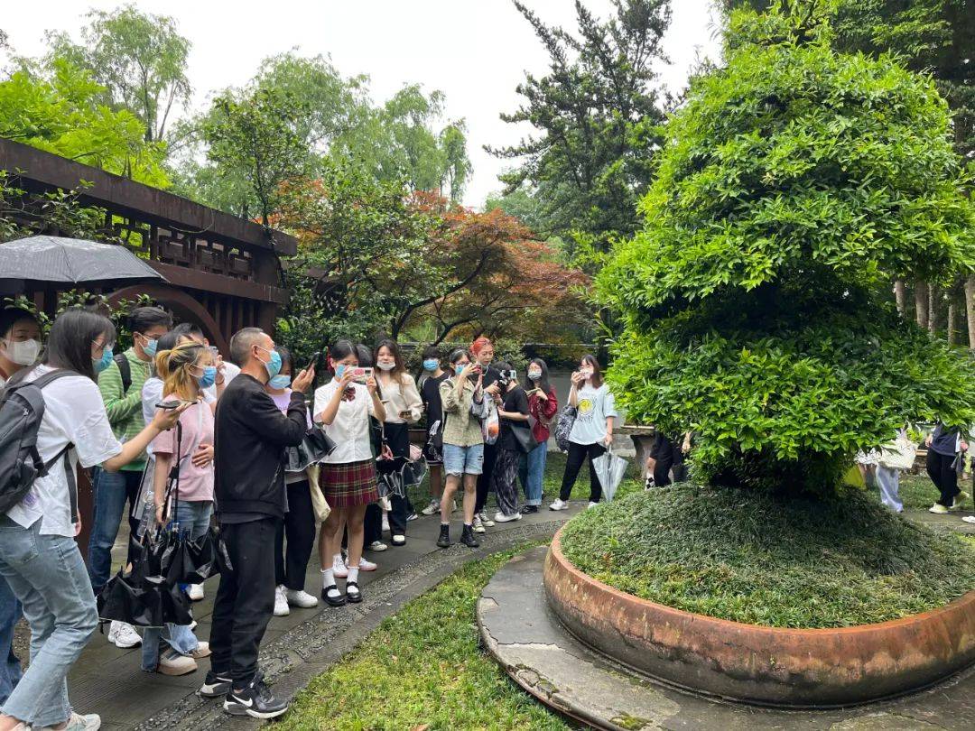 市青—都局与四川农大联合开展川派盆景研学导师培训活动