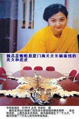 "红楼"就是远华集团总部,外观普通,里面却门道众多,是他们的交易窝点.