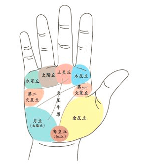 手相各宫在位置图解图片