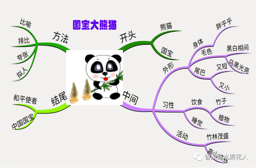 做一张大熊猫思维导图图片