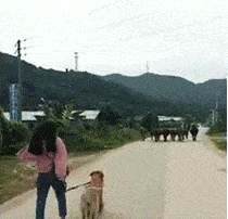 每日一笑:大哥还能有点出息吗,不就是找了个漂亮女朋友吗