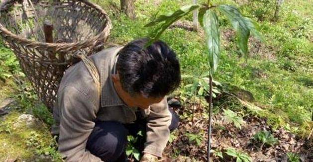 在湖北利川市有一个人叫做程地明,他与我们刚刚所提到的那篇课文的