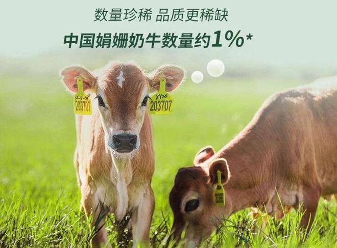 金典又进化了行业首发碳中和娟姗有机奶