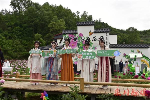 栾川县冷水镇高山牡丹文化节开幕