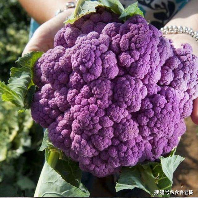 这5种紫色蔬菜 营养价值还很高 除了图1 其他你可能都没见过 山药 情人节 花椰菜