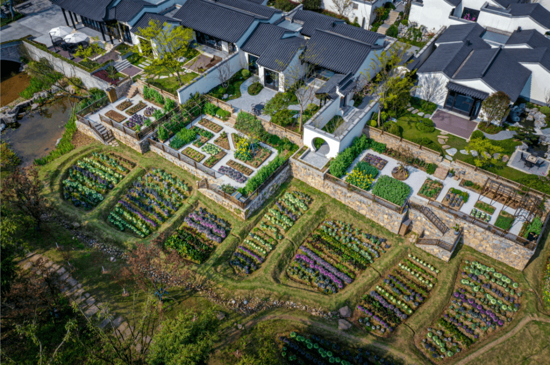 你与理想"桃源生活",差了一座蓝城云梦桃源小镇湖山合院_自然_实景