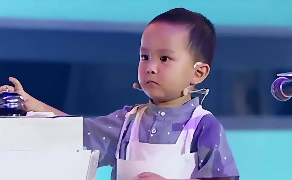 原创中华小诗库王恒屹被董卿圈粉的小神童他到底有多牛