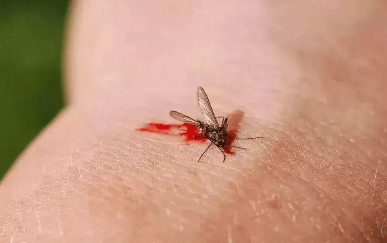 每次蚊子叮孩子妈妈就一巴掌拍死没想到一周后娃的脚烂了