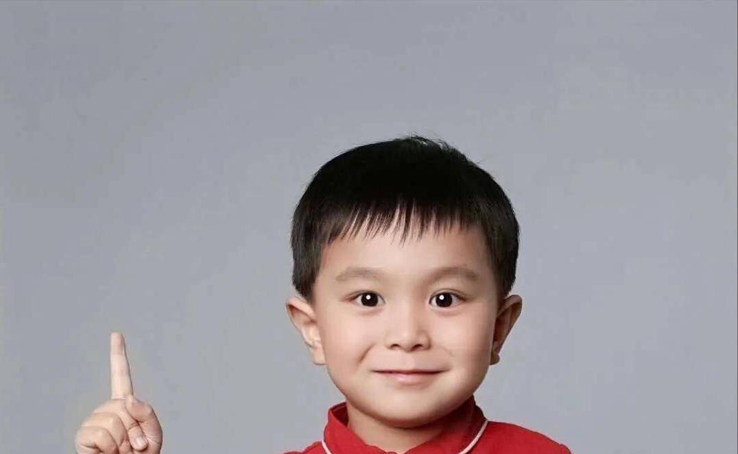 原创中华小诗库王恒屹被董卿圈粉的小神童他到底有多牛