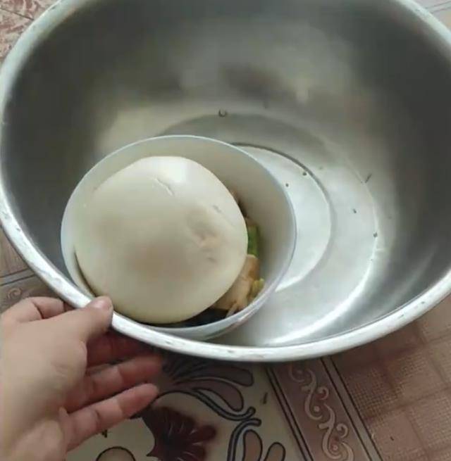 河南一女生隔时妈妈送饭,用盆投喂太搞笑,网友:是不是咬人?