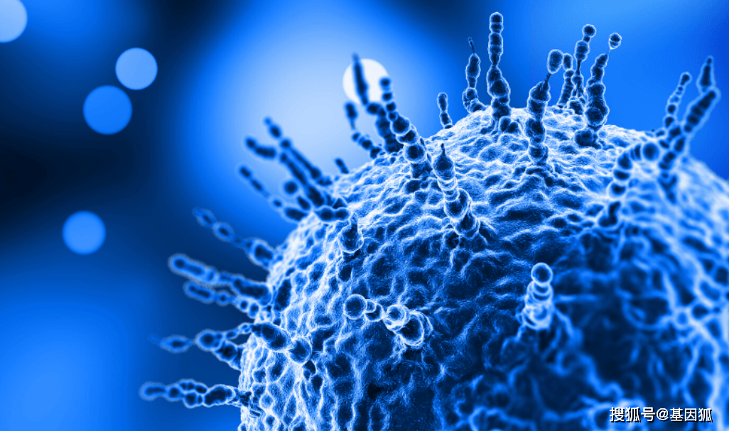 经验分享:溶瘤病毒作为治疗肿瘤新疗法的探讨_细胞_免疫_作用