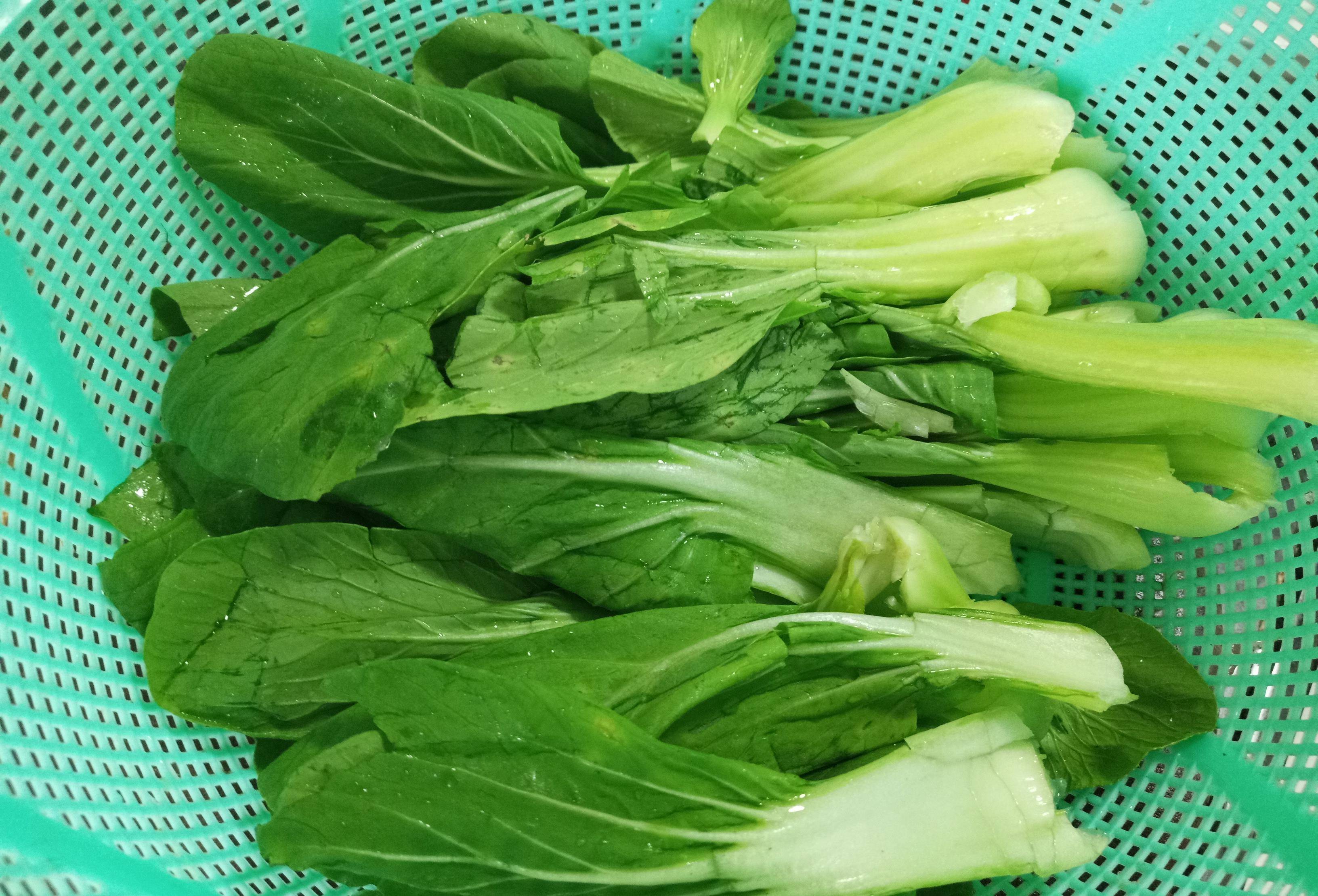 原创1碟小菜上海青翠绿鲜嫩的家常素菜不用炒简单做也能出美味