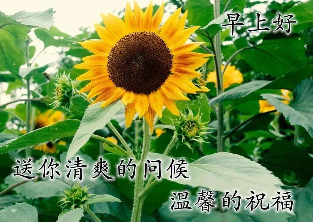 鏡子笑,做個深呼吸,心態調整好,煩惱全拋掉,出門帶微笑,好運自然到