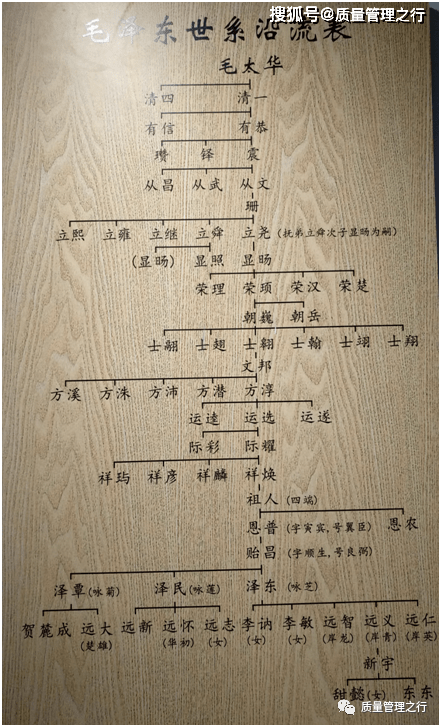 职业家族谱图片